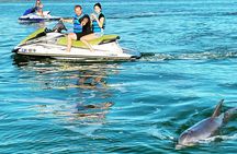 Ten Thousand Island Jet Ski Eco Tour - Marco Island