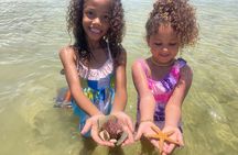 Marco Island Wildlife Sightseeing and Shelling Tour 