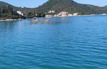 Oysters and mussels tasting with wine in Ston and Pelješac