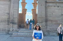 Day Tour in Aswan Philae Temple High Dam and Felucca Nile Cruise 