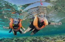 Ras Mohamed & White Island Snorkeling or Scuba Diving trip