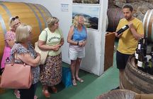 Wine tour Peljesac