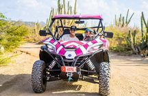 Wild Side UTV Tour: Explore the Northern treasure 