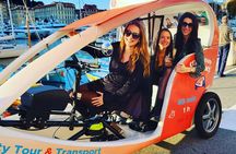 Nice: Visit of Nice by electrically assisted bike taxi 1 hour.