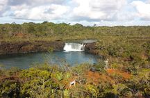 Private One Day Tour through The Deep South