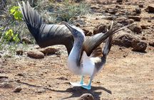 Galapagos Enchanting 3 Islands (5 Days)