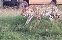4 Day Best of Kenya Private Guided Tour Safaris from Malindi
