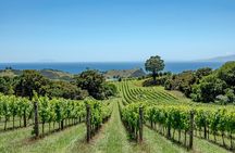 5 or 7 hour Far End of Waiheke Scenic Wine Tour in Electric Vans