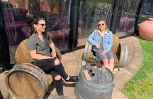 4.5-Hour Scenic Wine Tour with Private Guide & Up to 12 Tastings