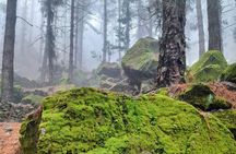 Discover the highlights of Santo Antão from Mindelo 