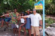 Enjoy Island Tour with Bahamas Private Transport And Tours Company Ltd