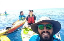 From Athens: Half-Day Sea Kayak tour at the Corinthian gulf