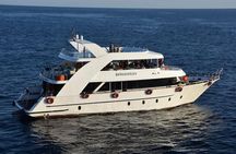 VIP Ras Mohamed and White Island boat trip