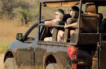 Wilpattu National Park Safari, Budget Tour from Colombo