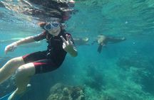 Espíritu Santo Island snorkel and sightseeing tour on Small Group