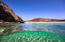 Espíritu Santo Island snorkel and sightseeing tour on Small Group