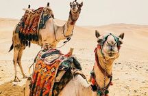 Luxury 5 Days Desert Tour From Marrakech 2025