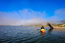 Russian River Kayak Tour at the Beautiful Sonoma Coast
