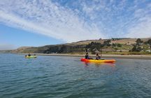 Russian River Kayak Tour at the Beautiful Sonoma Coast