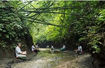 Bali Spiritual: Palm Reading, Purification, and Healing