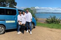 1.5h Waiheke Guided Scenic Tour in our Electric Van