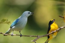 Full Day Private Tour in Monteverde, Costa Rica 