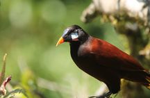 Full Day Private Tour in Monteverde, Costa Rica 