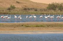 Half-Day Tour in Massa National Park with Professional Guide 