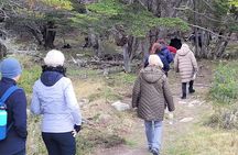 Tolhuin Natural and Gastronomic Circuit in 4x4 from Ushuaia