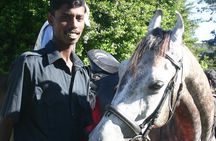 4-Hour Horse Riding in Nuwara Eliya