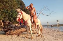 Horse Ride On The Beach Gili Islands