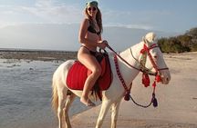 Horse Ride On The Beach Gili Islands
