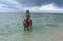 Horse Ride On The Beach Gili Islands