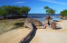 Full-Day at Los Haitises National Park 