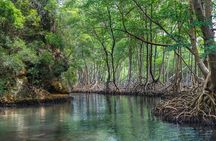 Full-Day at Los Haitises National Park 