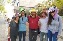 Downtown Haifa Art, Culture and Graffiti Private Tour