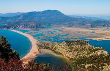Full Day Fethiye Turtle Beach Tour With Mud Baths & Lunch