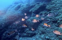 Boat trip and snorkeling in Villefranche - sur - Mer