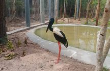 Cambodia Wildlife Sanctuary and Countryside Tour 