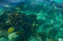 Two Stop Snorkel and Shipwreck from Dockyard