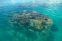 Two Stop Snorkel and Shipwreck from Dockyard