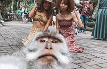 Ubud Tour: Monkey Forest, Jungle Swing, Temples & Waterfalls
