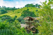 Full Day Guided Triple Adventure Combo From Punta Cana