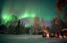 Northern Lights Tour in Atmospheric Cottage