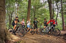 Ljubljana MTB capital