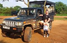 Yala National Park Safari - Private Tour