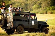 Yala National Park Safari - Private Tour