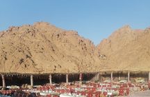 Sharm El Sheikh: ATV Quad Safari With Camel Ride, Dinner & Show