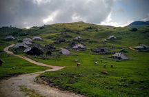 Velika planina and Logarska dolina with picnic (private tour)