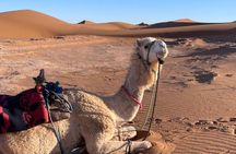 Zagora M’hamid, 3 Days Tour to Erg Chigaga Desert from Marrakech 